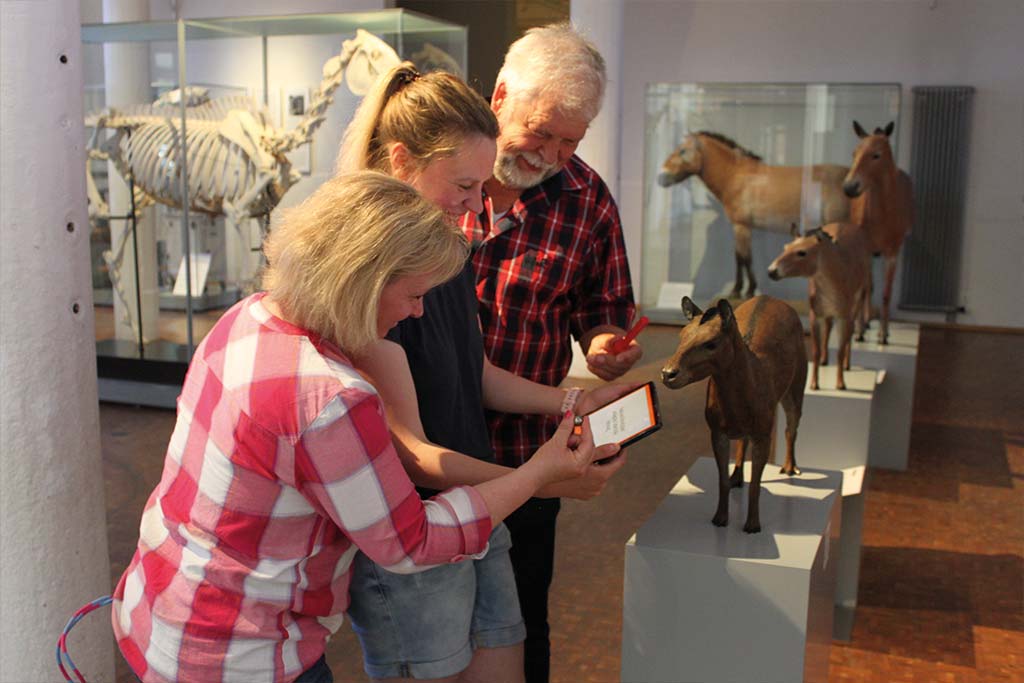 Das Museum gemeinsam als Familie erleben
