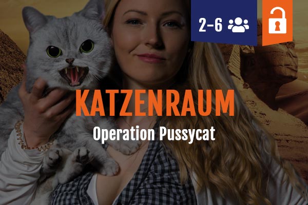 Cat room Operation Pussycat, escape room Nienburg